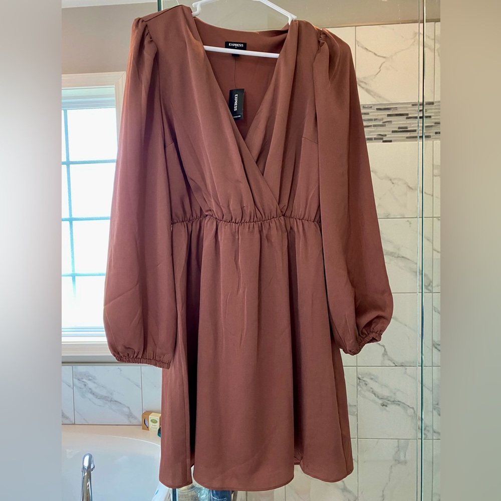 Express Brown Long Sleeve Dress